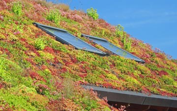 Bland Hill living roof systems